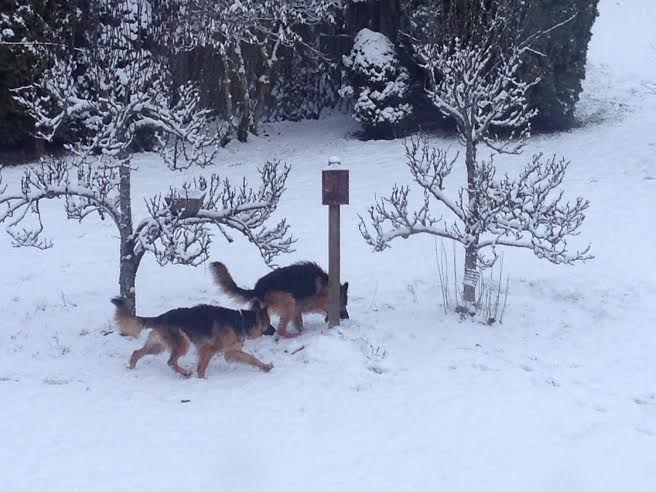 Kanani and Jackie Lee say good morning!